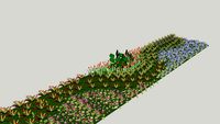 Flower border
