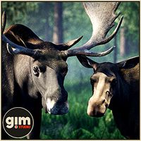 Animalia - Moose (pack)