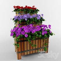 Flowers in boxes