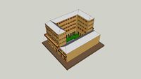 insula