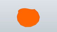 Fiskex Sage Pay Shape 5 Orange