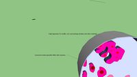 sawyer gogli lysosomes vacuole