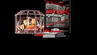 elimination chamber 2011 stage