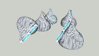 Hershey's Kisses