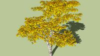 High polygon tree