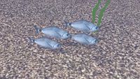 poisson blade
