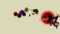 fuzzy colection
