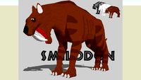 Smilodon californicus to download, click at the logo