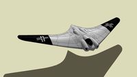 HORTEN HO 229