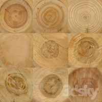 Log (slices)