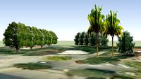 Vegetación del Parque de San Onofre (Parte 1) - Quart de Poblet