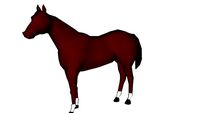 Cheval