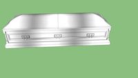 silver casket