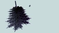 arbol