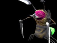 Tyrant beetle 3D Model
