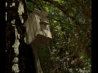 Birdhouse 3D Model