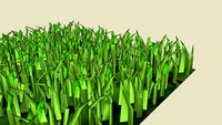 Grass 3D