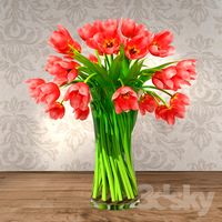 Red Tulips