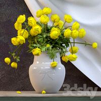 Bouquet globeflowers
