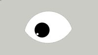 eye