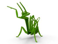 Praying Mantis 3D Puzzle 3D Model