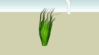 APC grassy