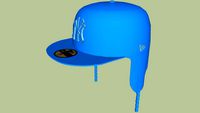 Blue New york Cap With DogEars And Tassles