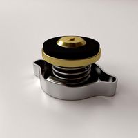 Radiator Cap 3D Model