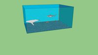 Shed aquarium