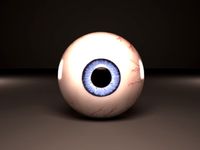 Realistic human eye for characters 3D Model