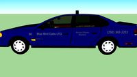 Bluebird Cabs