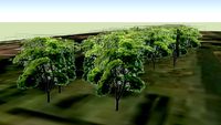 Egeskov Park 3