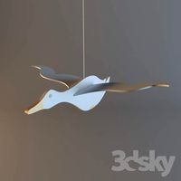 Duck-Toy