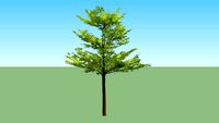 tree 2d ketapang kencana