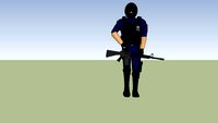 ELEMENTO POLICIA FEDERAL PREVENTIVA SSP PFP