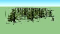 Durrow Trees 03