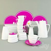 Dishes for windows
