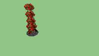 rose bush