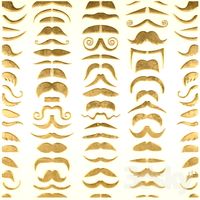 Moldings, bas-relief, mustache)