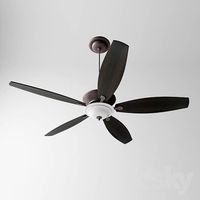 Hunter Fan 60 &amp;quot;Regalia