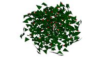 cotoneastrer