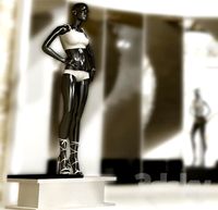 profi maniken