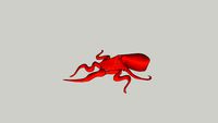 cryptid octopus