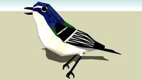 Blue-headed Vireo