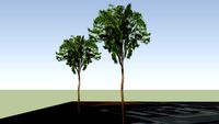 Hotel Acapulco *** Jesolo (trees)