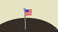 flag