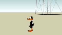 daffy duck