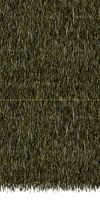 Thatch 1