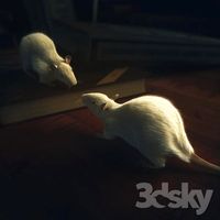 animated mouse