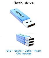 Flash Drive